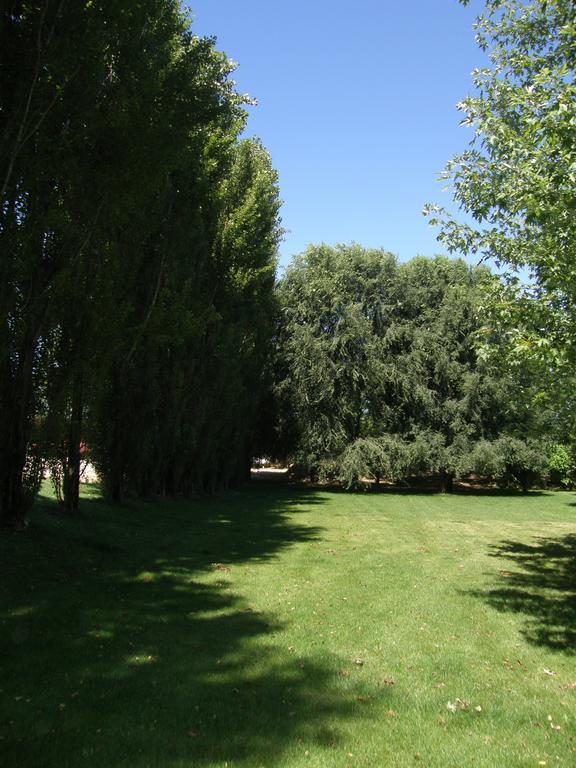 Agriturismo Greppi Crescentino Εξωτερικό φωτογραφία