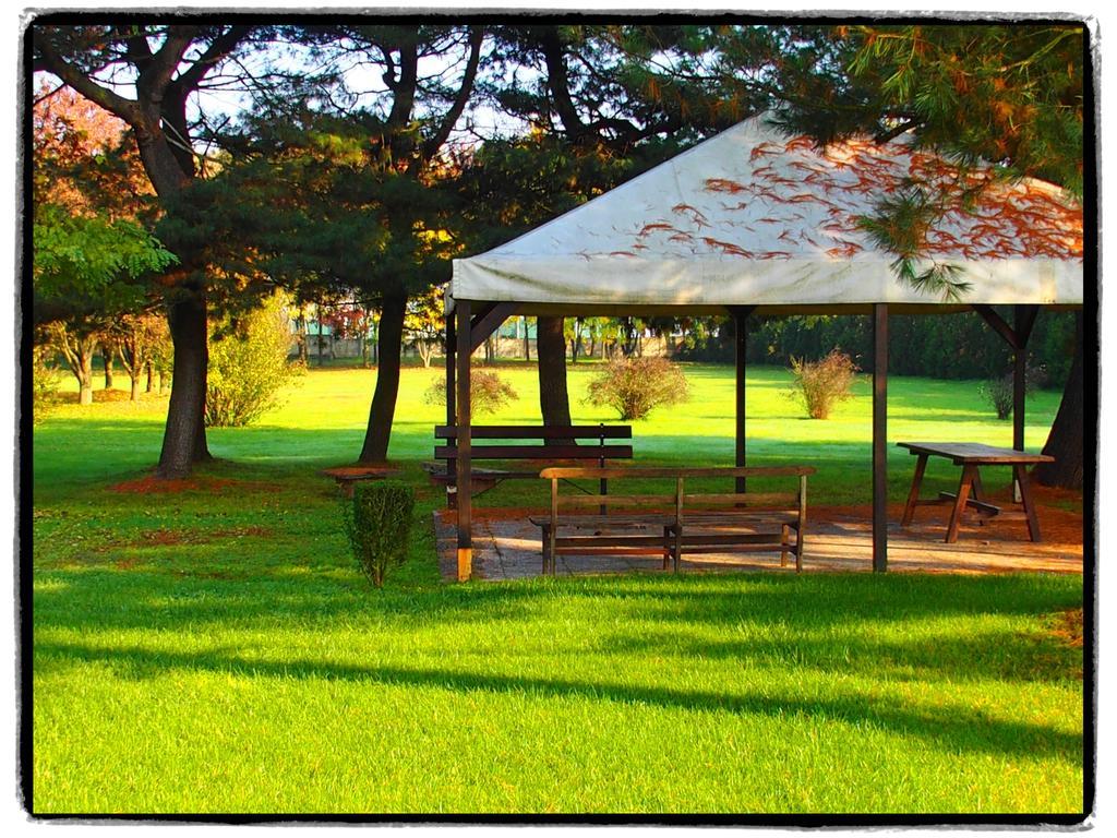 Agriturismo Greppi Crescentino Εξωτερικό φωτογραφία